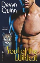 Soul of the Wildcat by Devyn Quinn Paperback Book