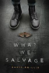 What We Salvage by David Baillie Paperback Book