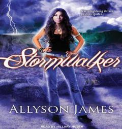 Stormwalker by Allyson James Paperback Book