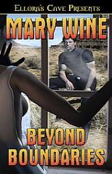 Breaking Boundaries: Beyond Boundaries by Mary Wine Paperback Book