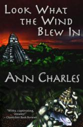 Look What the Wind Blew In (A Dig Site Mystery) (Volume 1) by Ann Charles Paperback Book