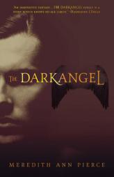 The Darkangel (The Darkangel Trilogy) by Meredith Ann Pierce Paperback Book
