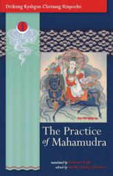 The Practice of Mahamudra by Drikung Kyabgon Chetsang Rinpoche Paperback Book