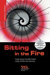 Sitting in the Fire: Large Group Transformation Using Conflict and Diversity by Arnold Mindell Paperback Book