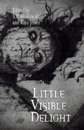 Little Visible Delight by Lynda E. Rucker Paperback Book