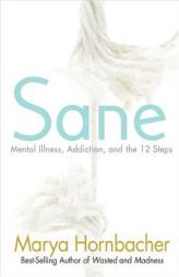Sane: Mental Illness, Addiction, and the 12 Steps by Marya Hornbacher Paperback Book