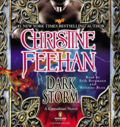 Dark Storm by Christine Feehan Paperback Book