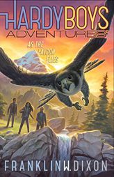 As the Falcon Flies (24) (Hardy Boys Adventures) by Franklin W. Dixon Paperback Book