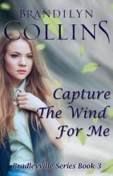 Capture The Wind For Me (Bradleyville Series) (Volume 3) by Brandilyn Collins Paperback Book