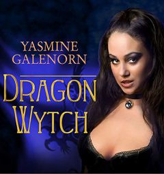 Dragon Wytch (The Otherworld Series) by Yasmine Galenorn Paperback Book