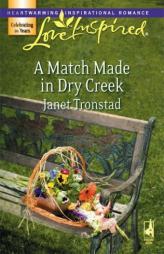 A Match Made In Dry Creek by Janet Tronstad Paperback Book