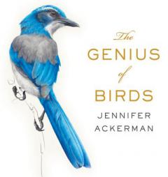 The Genius of Birds by Jennifer Ackerman Paperback Book