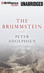 The Brummstein by Peter Adolphsen Paperback Book