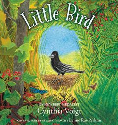 Little Bird by Cynthia Voigt Paperback Book