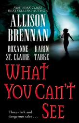 What You Can't See by Allison Brennan Paperback Book