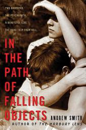 In the Path of Falling Objects by Andrew Smith Paperback Book