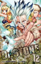 Dr. Stone, Vol. 12 by Riichiro Inagaki Paperback Book