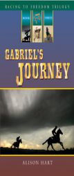 Gabriel's Journey by Alison Hart Paperback Book