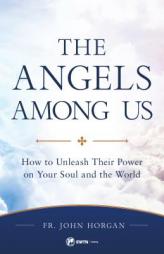 His Angels at Our Side: Understanding Their Power in Our Souls and the World by Fr John Horgan Paperback Book