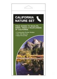California Nature Set: Field Guides to Wildlife, Birds, Trees & Wildflowers of California by James Kavanagh Paperback Book