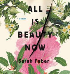 All Is Beauty Now by Sarah Faber Paperback Book