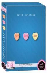 Boy Meets Boy by David Levithan Paperback Book