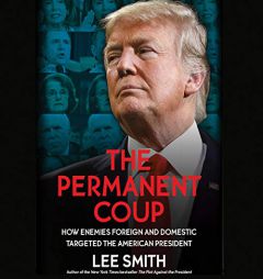 The Impeachment Plot: Revealing the Secrets, Lies, and Political Schemes to Unseat the President by Lee Smith Paperback Book