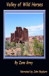 Valley of Wild Horses by Zane Grey Paperback Book