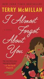 I Almost Forgot About You: A Novel by Terry McMillan Paperback Book