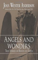 Angels and Wonders: True Stories of Heaven on Earth by Joan W. Anderson Paperback Book