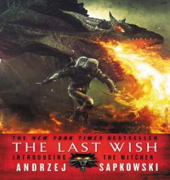 The Last Wish  (The Witcher Series, Book 1) by Andrzej Sapkowski Paperback Book