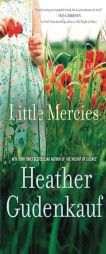 Little Mercies by Heather Gudenkauf Paperback Book