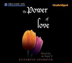 The Power of Love by Elizabeth Chandler Paperback Book