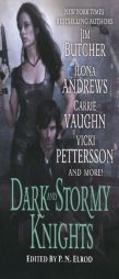Dark and Stormy Knights by P. N. Elrod Paperback Book