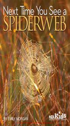 Next Time You See a Spiderweb by Emily Morgan Paperback Book