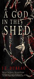 A God in the Shed by J-F Dubeau Paperback Book