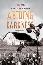Abiding Darkness (The Black or White Chronicles, Book 1) by John Aubrey Anderson Paperback Book