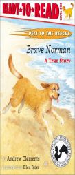 Brave Norman : A True Story by Andrew Clements Paperback Book