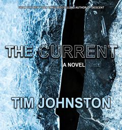 The Current: A Novel by Tim Johnston Paperback Book