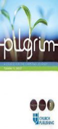 Pilgrim - Turning to Christ: A Course for the Christian Journey (Pilgrim Follow) by Stephen Cottrell Paperback Book