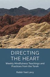 Directing the Heart: Weekly Mindfulness Teachings and Practices from the Torah by Rabbi Yael Levy Paperback Book