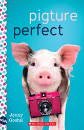 Pigture Perfect: A Wish Novel by Jenny Goebel Paperback Book