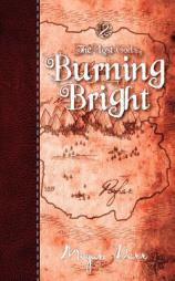 Burning Bright, the Lost Gods 2 by Megan Derr Paperback Book