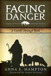 Facing Danger: A Guide Through Risk by Dr Anna E. Hampton Paperback Book