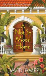 A Not So Model Home by David James Paperback Book