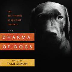 The Dharma of Dogs: Our Best Friends as Spiritual Teachers by Tami Simon Paperback Book
