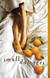 Small Damages by Beth Kephart Paperback Book