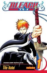 Bleach, Volume 1 by Tite Kubo Paperback Book