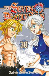 The Seven Deadly Sins 30 (Seven Deadly Sins, The) by Nakaba Suzuki Paperback Book