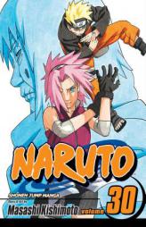 Naruto, Volume 30 by Masashi Kishimoto Paperback Book